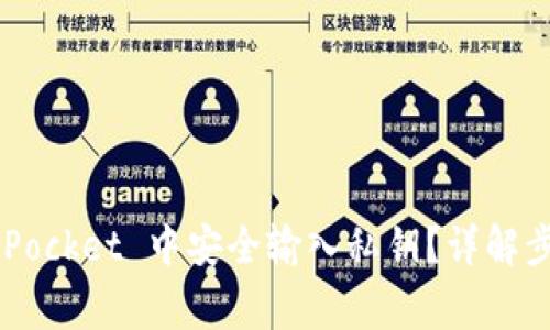 如何在 TokenPocket 中安全输入私钥？详解步骤与注意事项