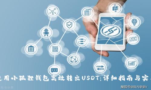 如何使用小狐狸钱包高效转出USDT：详细指南与实用技巧