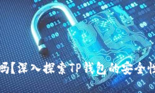 TP钱包安全吗？深入探索TP钱包的安全性与使用技巧