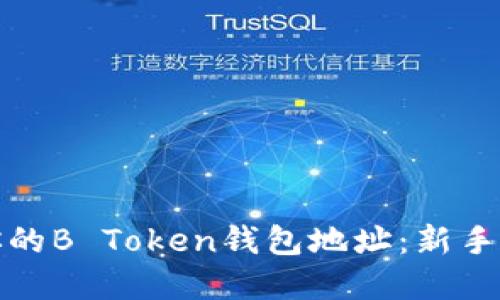 如何安全管理你的B Token钱包地址：新手指南与实用技巧