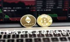 狗狗币钱包崩溃：如何应