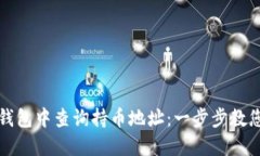 如何在TP钱包中查询持币地