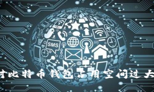 如何应对比特币钱包占用空间过大的问题？