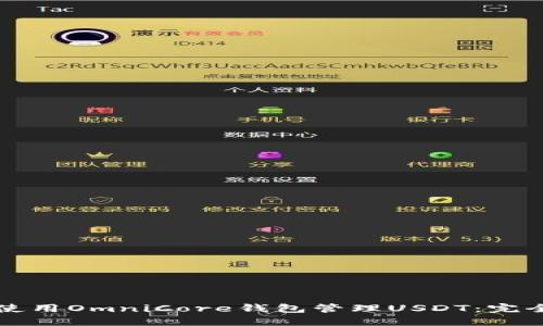 如何使用OmniCore钱包管理USDT：完全指南