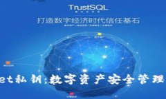 TokenPocket私钥：数字资产安