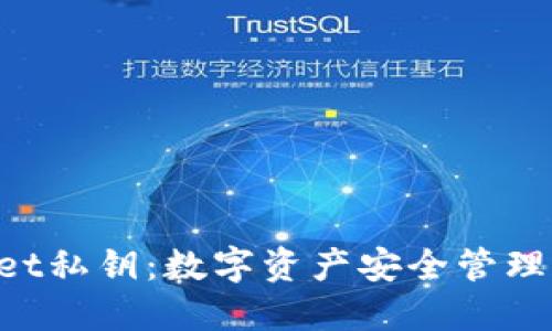 TokenPocket私钥：数字资产安全管理与使用指南