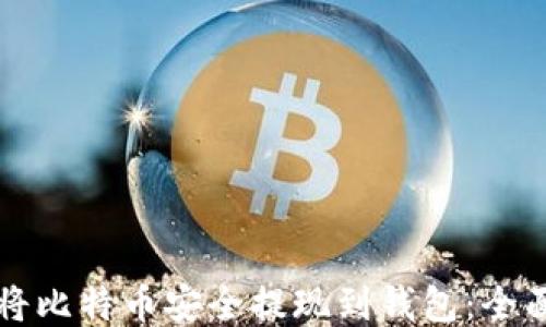 
如何将比特币安全提现到钱包：全面指南