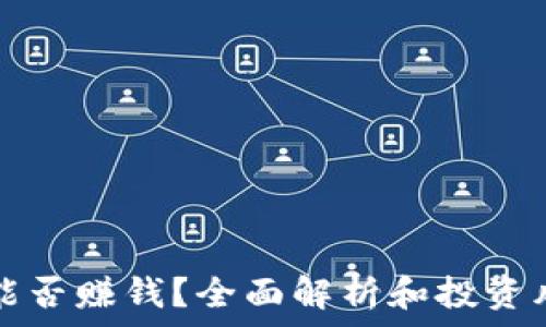   
TP钱包能否赚钱？全面解析和投资风险分析