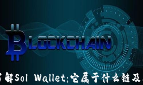 
深入了解Sol Wallet：它属于什么链及其功能