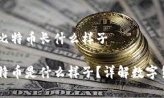 电子钱包里面的比特币长