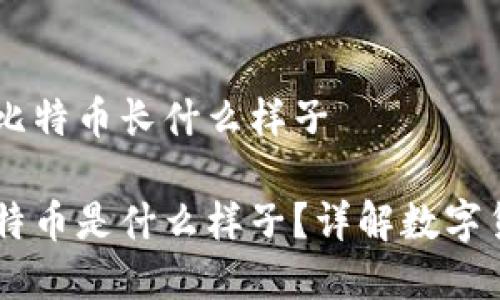 电子钱包里面的比特币长什么样子

电子钱包里的比特币是什么样子？详解数字货币的存储与交易