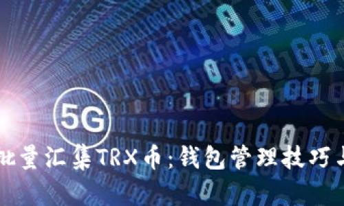 如何高效批量汇集TRX币：钱包管理技巧与实用指南