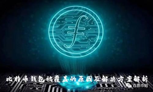 比特币钱包被覆盖的原因及解决方案解析