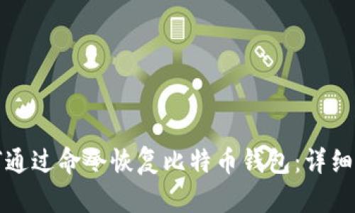 如何通过命令恢复比特币钱包：详细指南