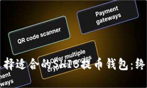 如何选择适合的SHIB提币钱包：终极指南