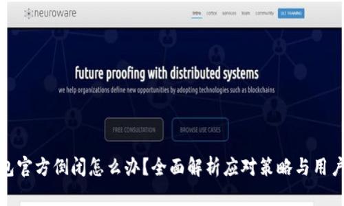 比特币钱包官方倒闭怎么办？全面解析应对策略与用户保护措施