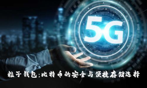 粒子钱包：比特币的安全与便捷存储选择