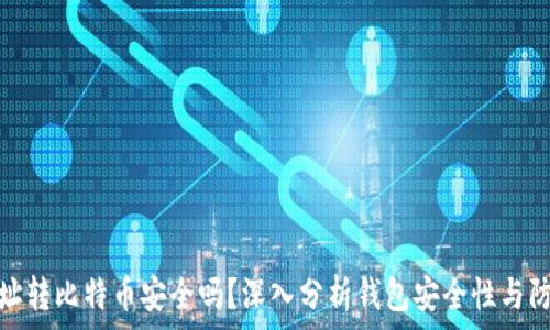   
钱包地址转比特币安全吗？深入分析钱包安全性与防护措施