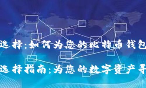 比特币钱包名字选择：如何为您的比特币钱包取个好听的名字

比特币钱包名字选择指南：为您的数字资产寻找最佳名称