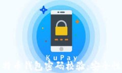 全面解析比特币钱包密码校验：安全性与风险管