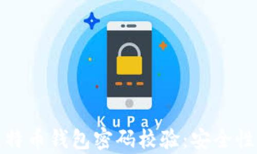 
全面解析比特币钱包密码校验：安全性与风险管理