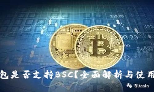 TP钱包是否支持BSC？全面解析与使用指南