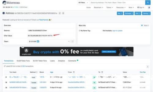 SCF公链能否导入TP钱包？全面解析与操作指南