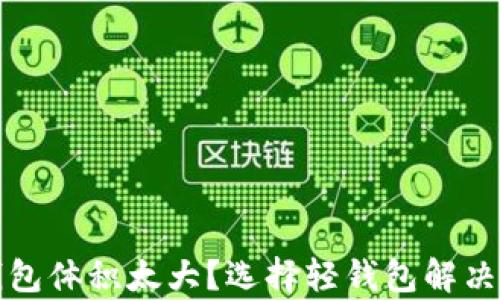 
比特币钱包体积太大？选择轻钱包解决存储问题