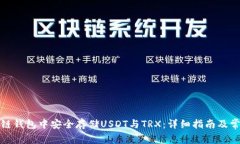如何在波场链钱包中安全存储USDT与TRX：详细指南
