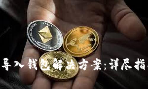 TokenPocket无法导入钱包解决方案：详尽指南与常见问题解答
