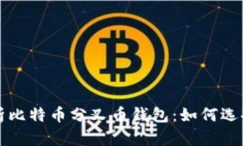 全面解析比特币分叉币钱包：如何选择和使用