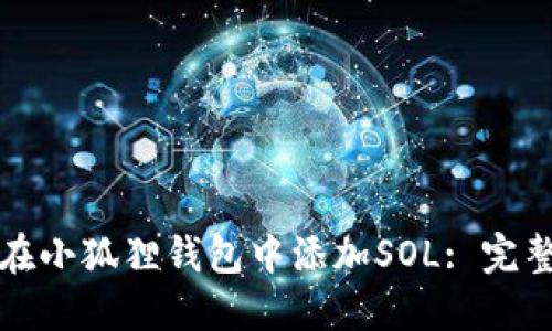 如何在小狐狸钱包中添加SOL: 完整指南