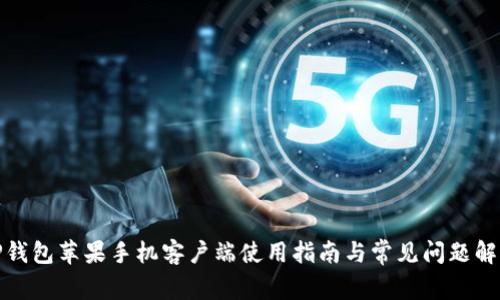 TP钱包苹果手机客户端使用指南与常见问题解答