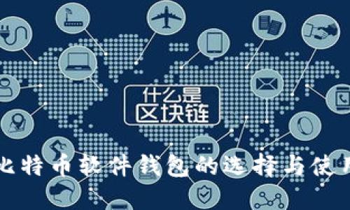 线人比特币软件钱包的选择与使用指南