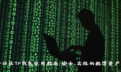 盘古社区TP钱包使用指南：安全、高效的数字资产管理