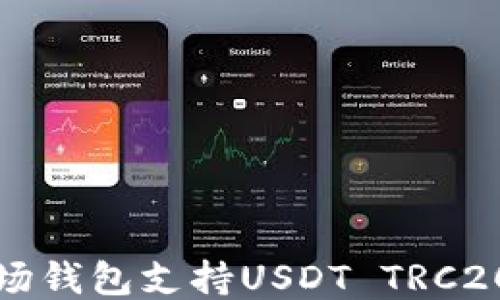 
如何使用波场钱包支持USDT TRC20的详细指南