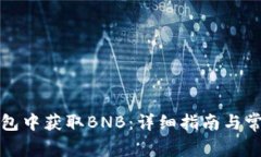 如何在TP钱包中获取BNB：详细指南与常见问题解答